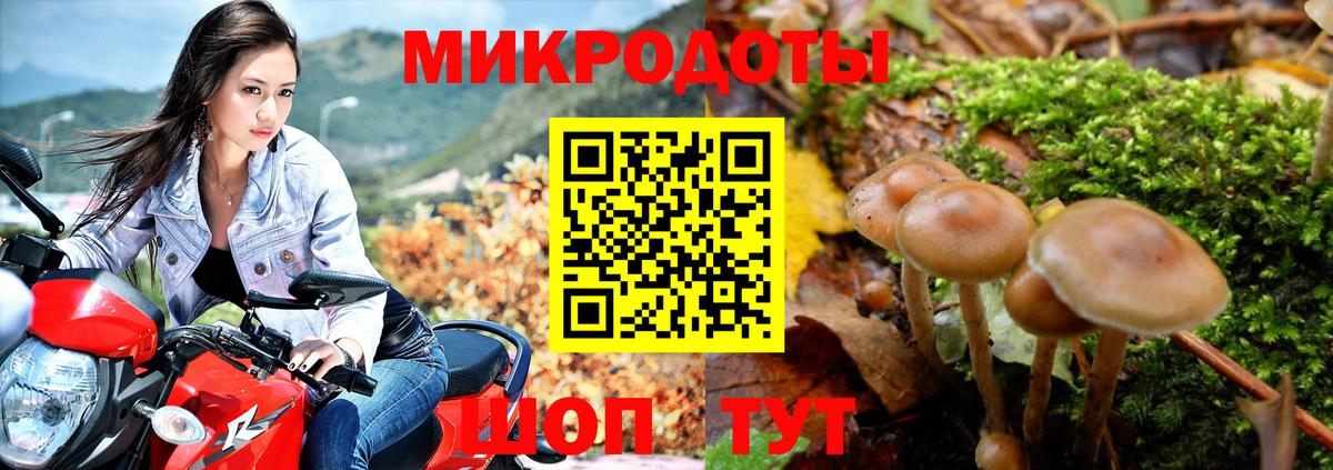 Галлюциногенные грибы прущие грибы  Вход с VPN  Таганрог 
